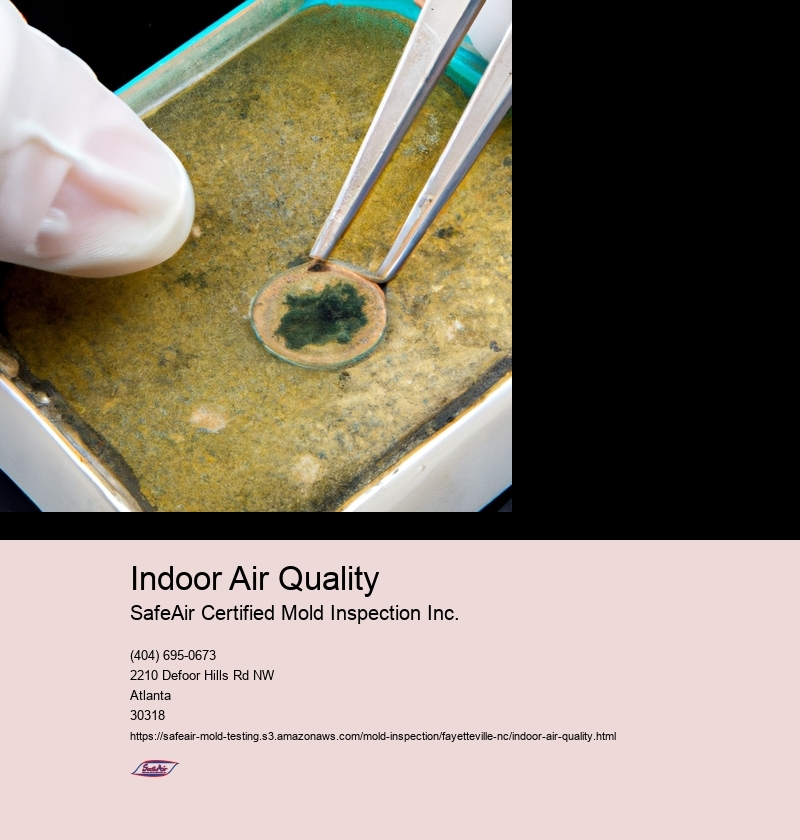Indoor Air Quality