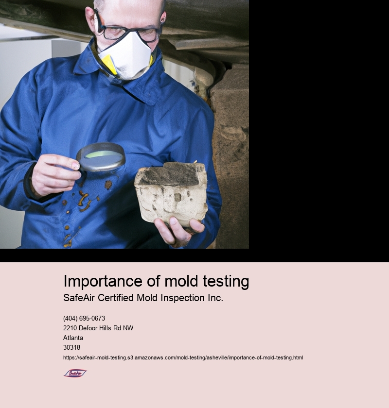 Importance of mold testing