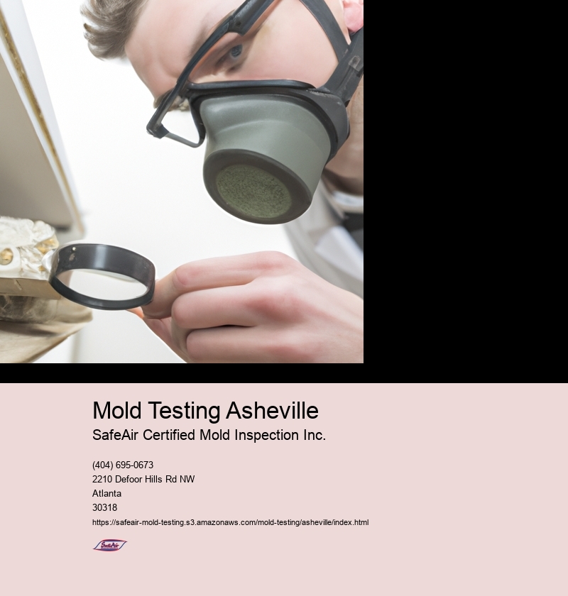 Mold Testing Asheville