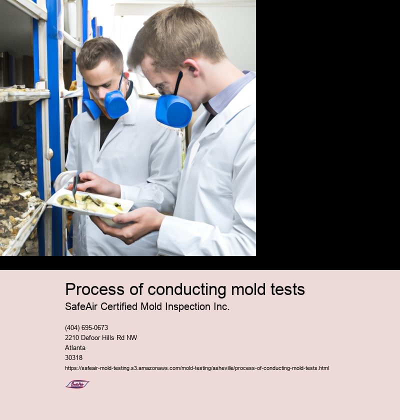 Process of conducting mold tests