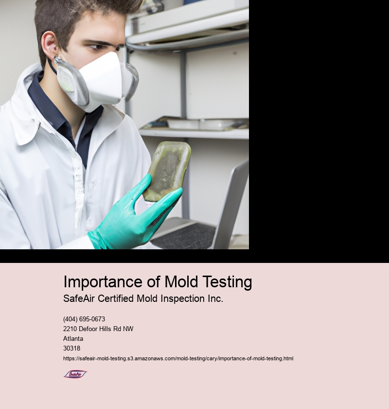 Importance of Mold Testing