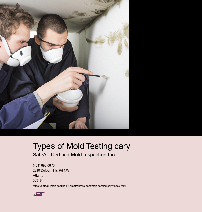 Types of Mold Testing cary