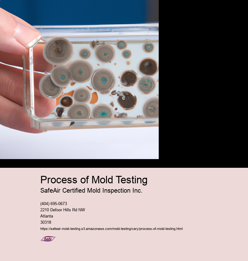 Process of Mold Testing