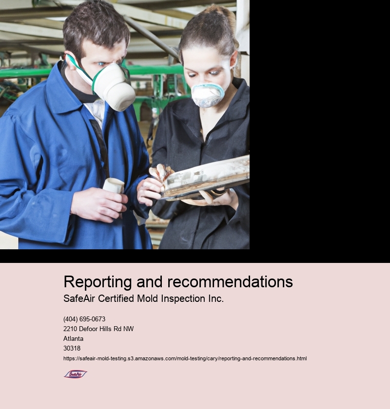 Reporting and recommendations