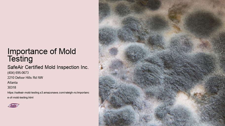 Importance of Mold Testing