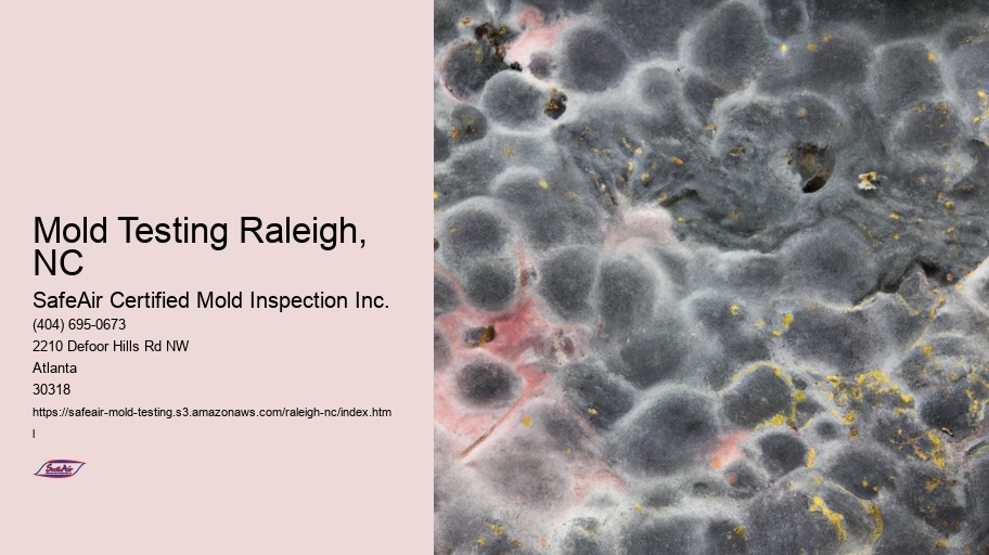 Mold Testing Raleigh, NC