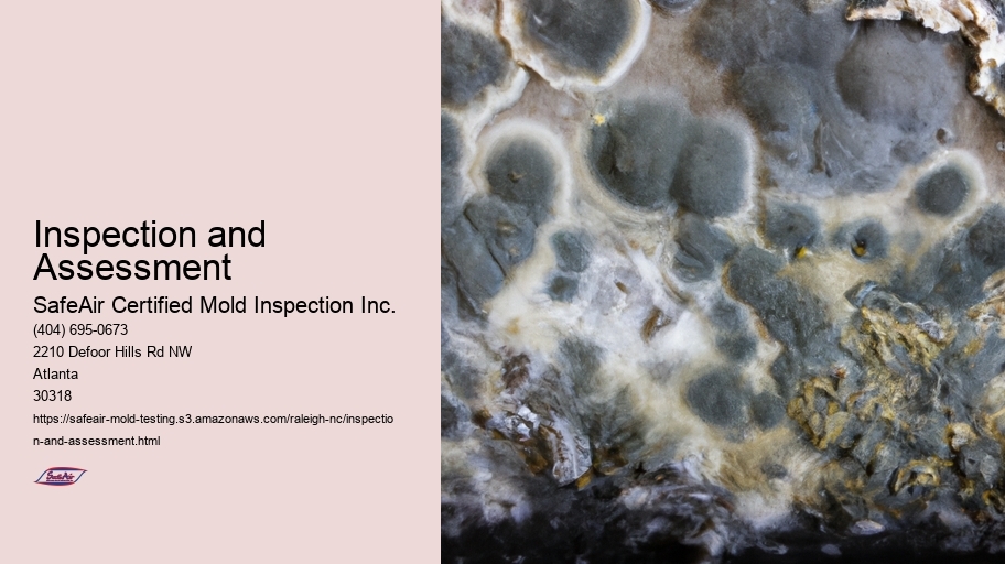 Inspection and Assessment