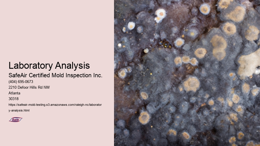 Laboratory Analysis