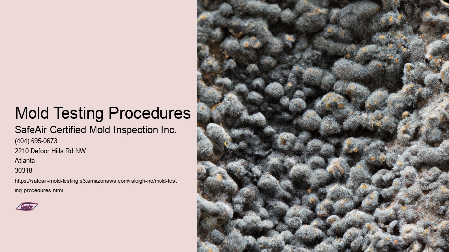 Mold Testing Procedures